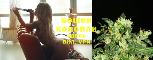 дурь Пестово