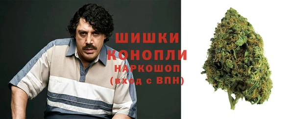 дурь Пестово