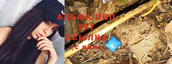 дурь Пестово
