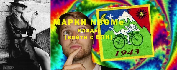 дурь Пестово