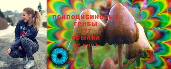 первитин Щигры