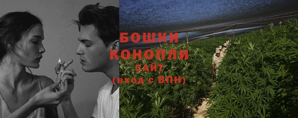 дурь Пестово