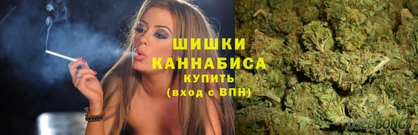 индика Вяземский