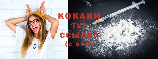 дурь Пестово