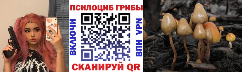 продажа наркотиков  Волоколамск  сайты даркнета официальный сайт  Псилоцибиновые грибы Magic Shrooms 